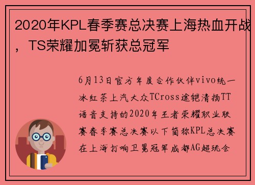 2020年KPL春季赛总决赛上海热血开战，TS荣耀加冕斩获总冠军
